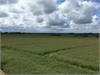 View from the top of the silo By Alistair Wright