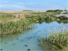 Salthouse By David Faulkner