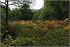 Stalham Stody Visit